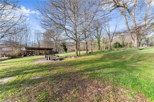 a view of a park with large trees