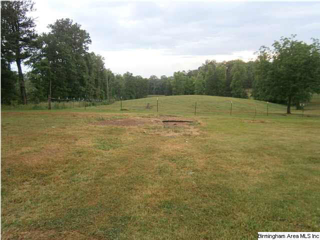 3978 County Road 66 Heflin, AL 36264 - Photo 8 of 18