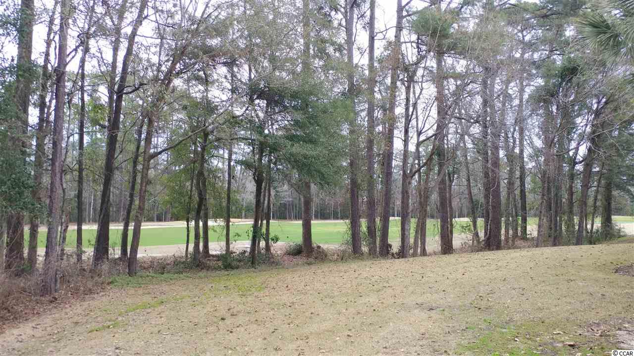19 Pistachio Loop, Unit D Murrells Inlet, SC 29576 - Photo 31 of 40 Gallery Image 31