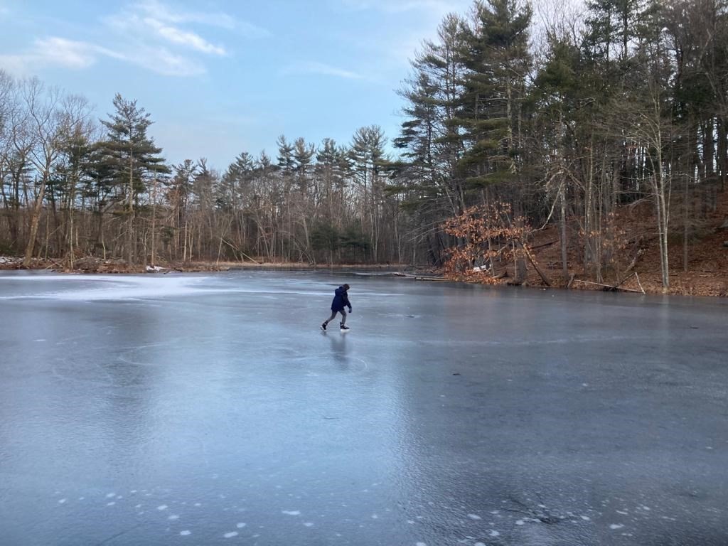472 Sugar Road Bolton, MA 01740 - Photo 26 of 30 a view of outdoor space with trees