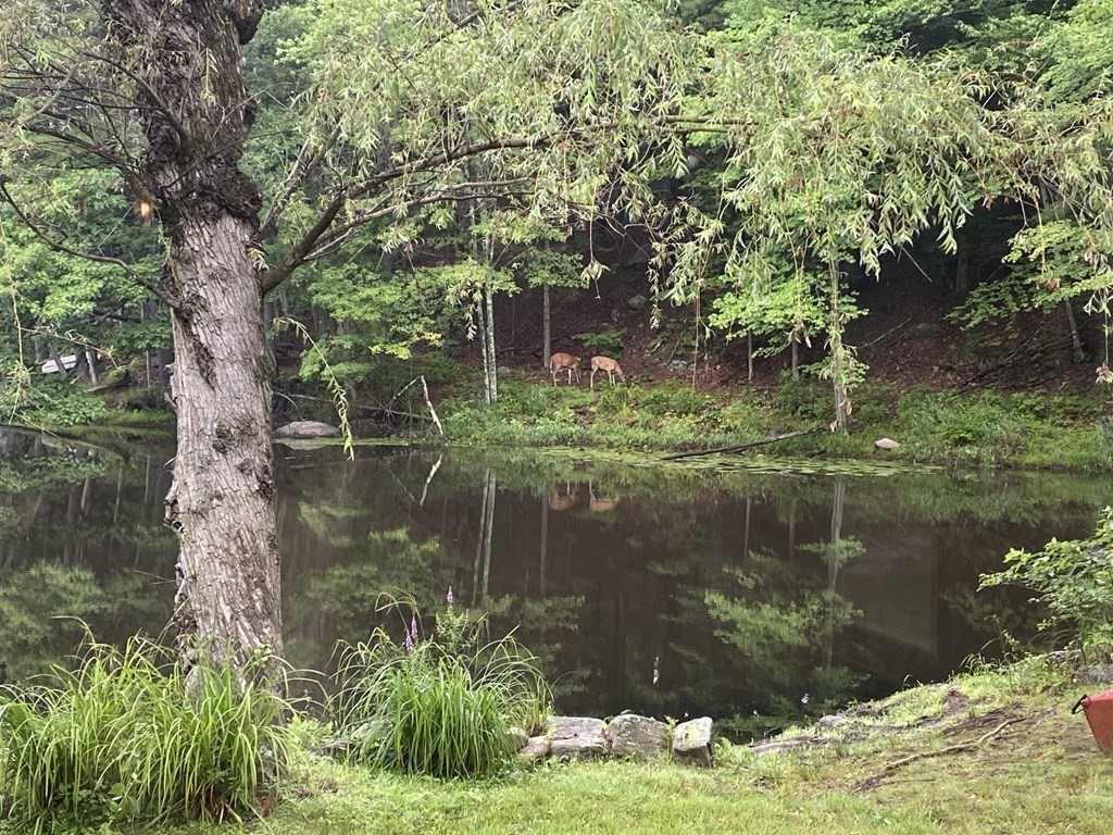 472 Sugar Road Bolton, MA 01740 - Photo 28 of 30 a lake view