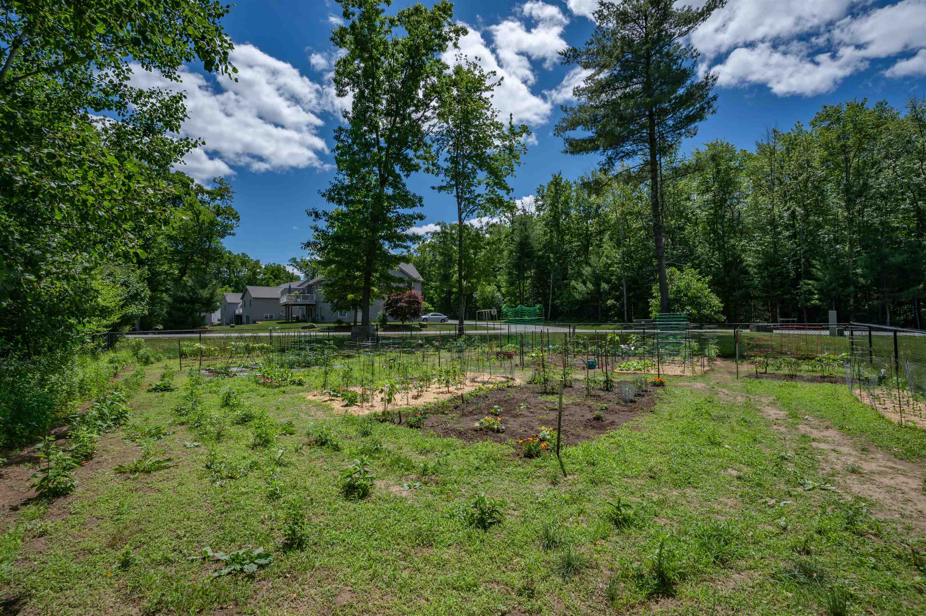 78 Cowbell Crossing, Unit B Atkinson, NH 03811 - Photo 41 of 45