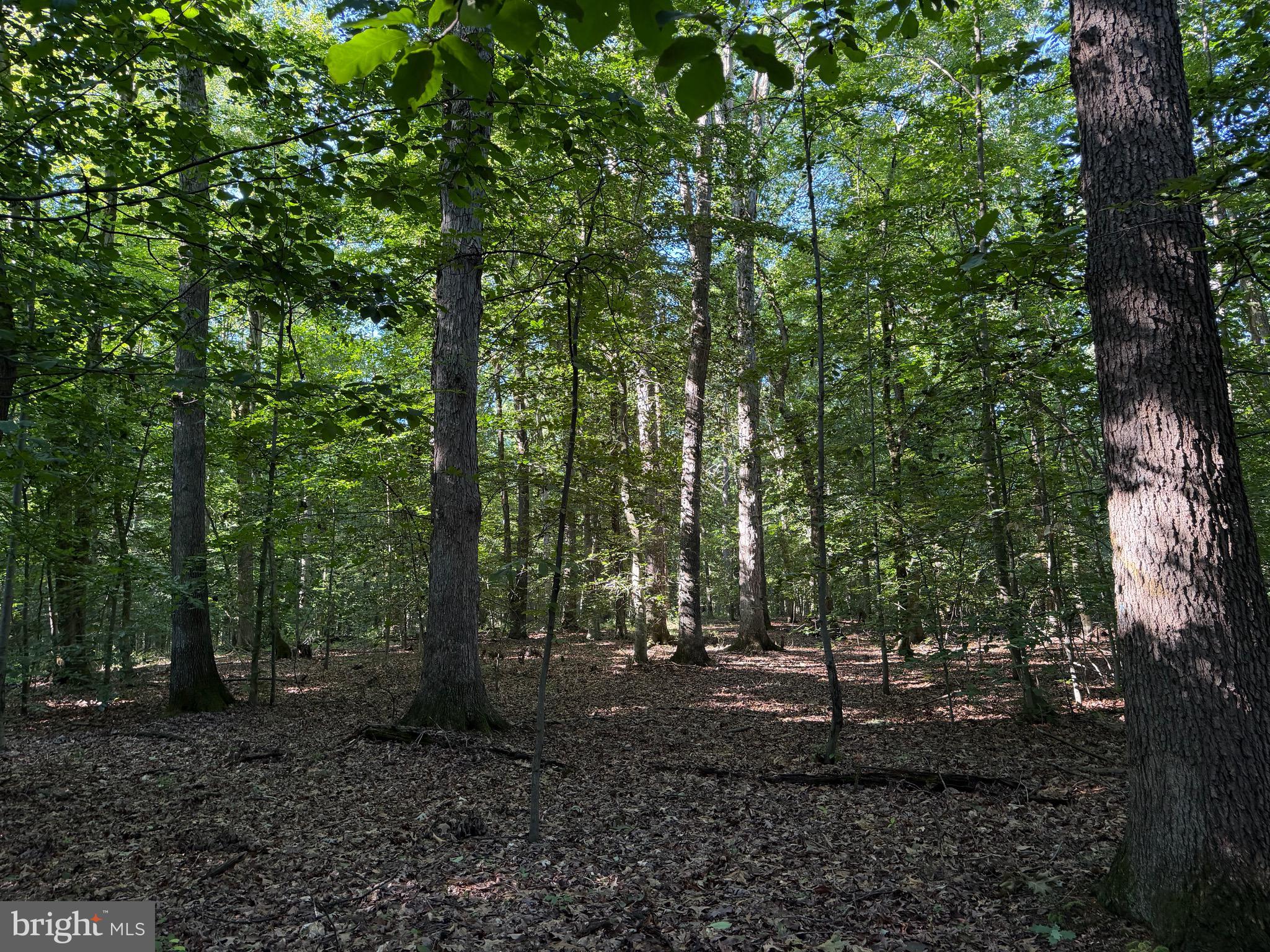 0 Rock Springs Road Conowingo, MD 21918 - Photo 63 of 79