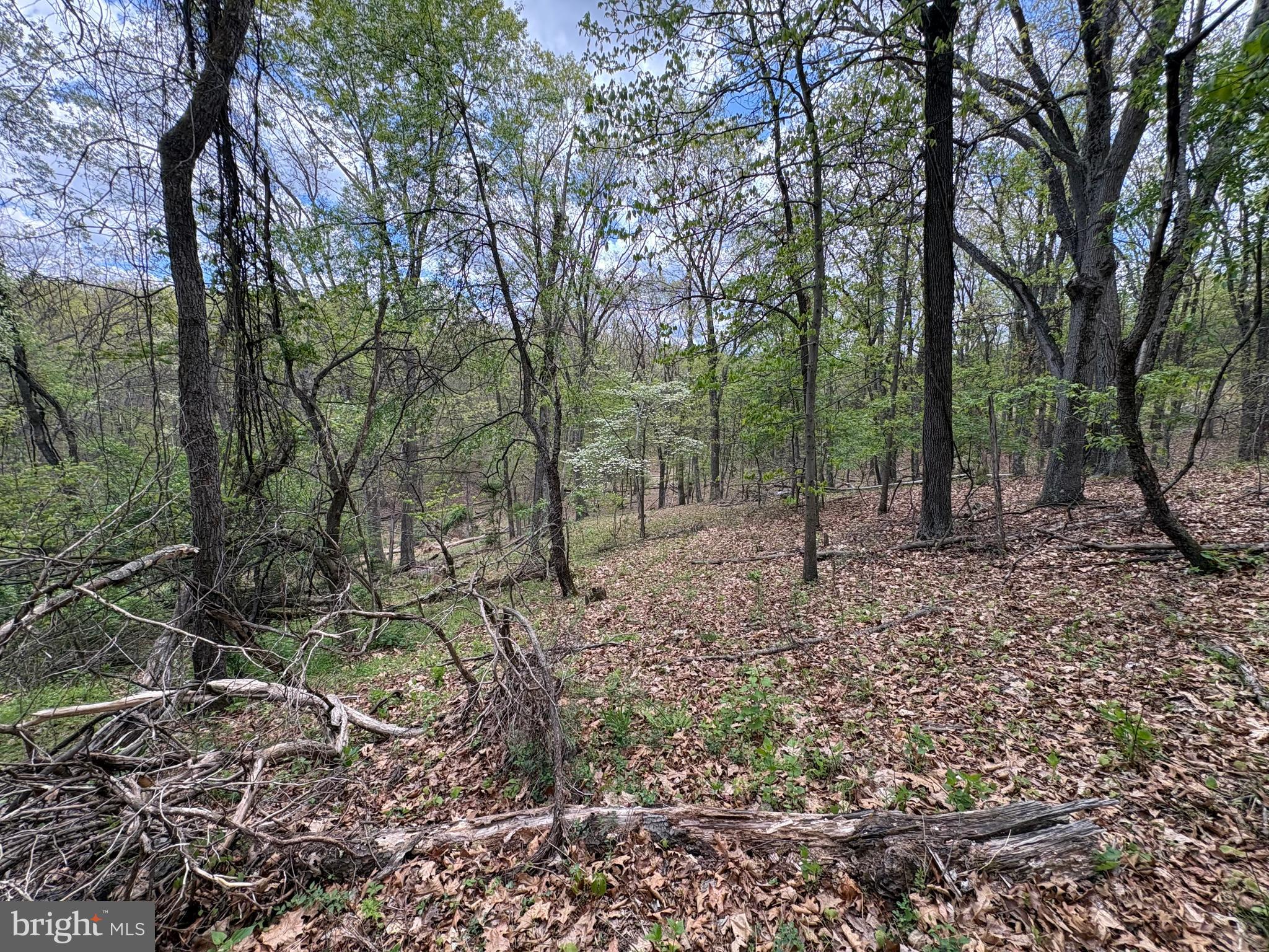 5-ac Beam Road Romney, WV 26757 - Photo 8 of 20 Gallery Image 8