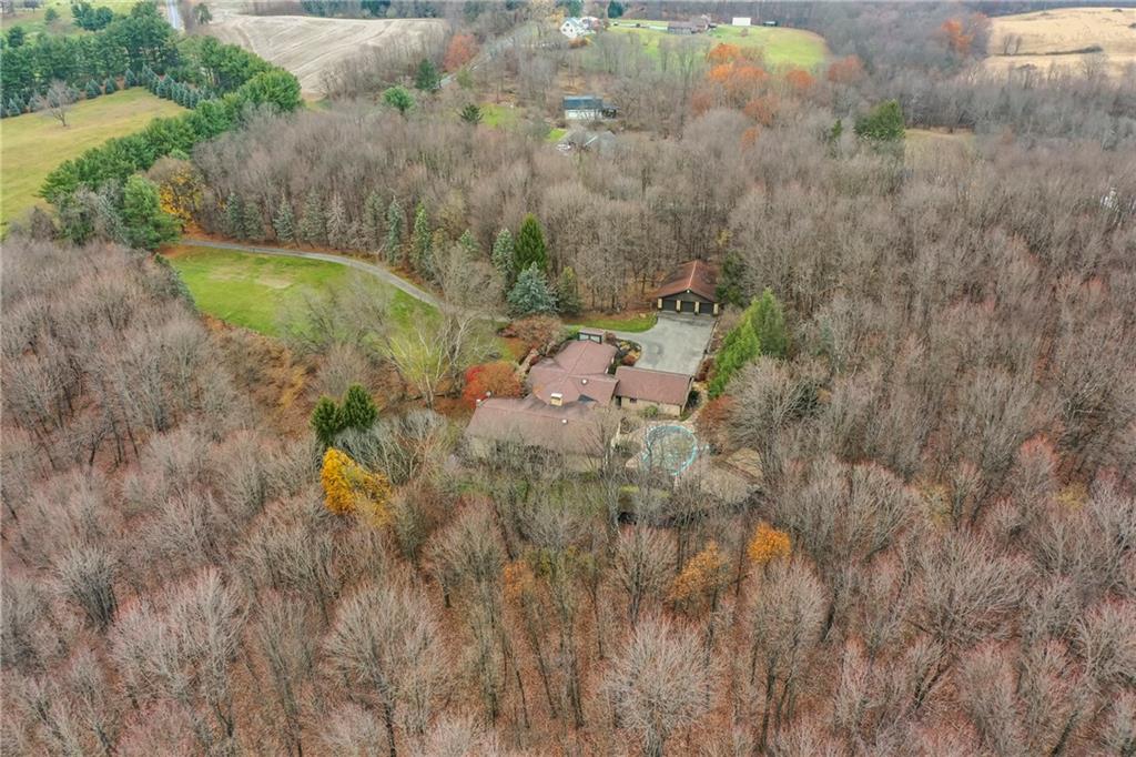 111 Morrow Road Beaver Falls, PA 15010 - Photo 49 of 50 a view of a yard with large trees