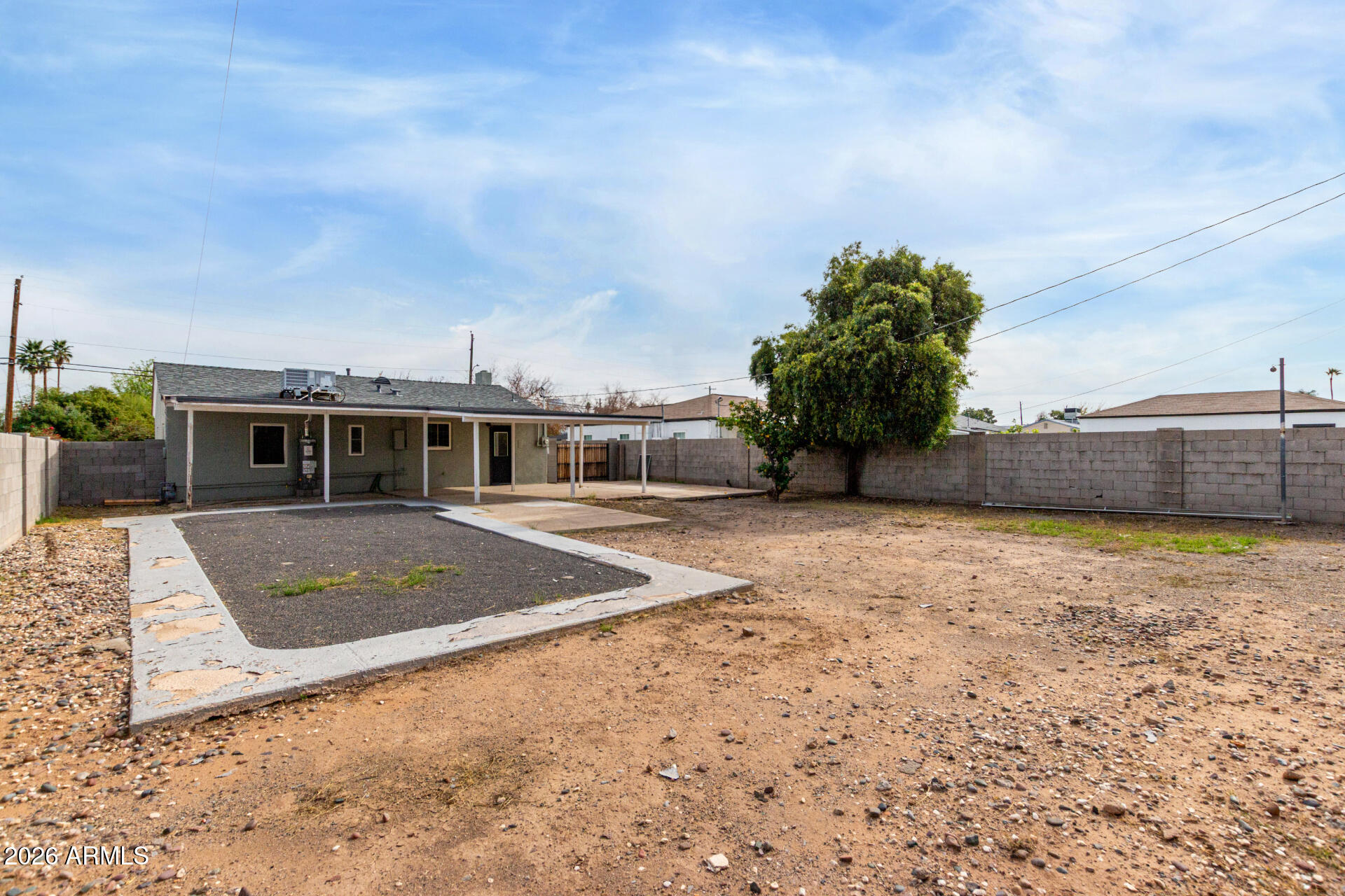 4010 North 11th Avenue Phoenix, AZ 85013 - Photo 21 of 22 a view of a big room with potted plants and large tree
