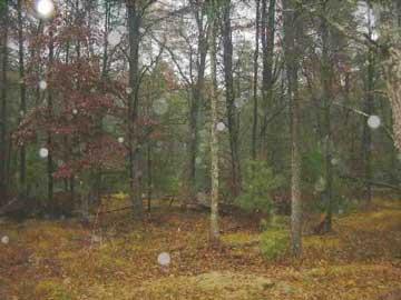 4094 South Merrillville Road Baldwin, MI 49304 - Photo 1 of 3 Primary Photo