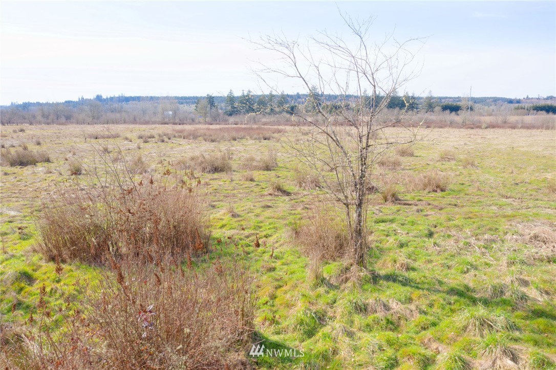 0 Drews Prairie Road Toledo, WA 98591 - Photo 11 of 20