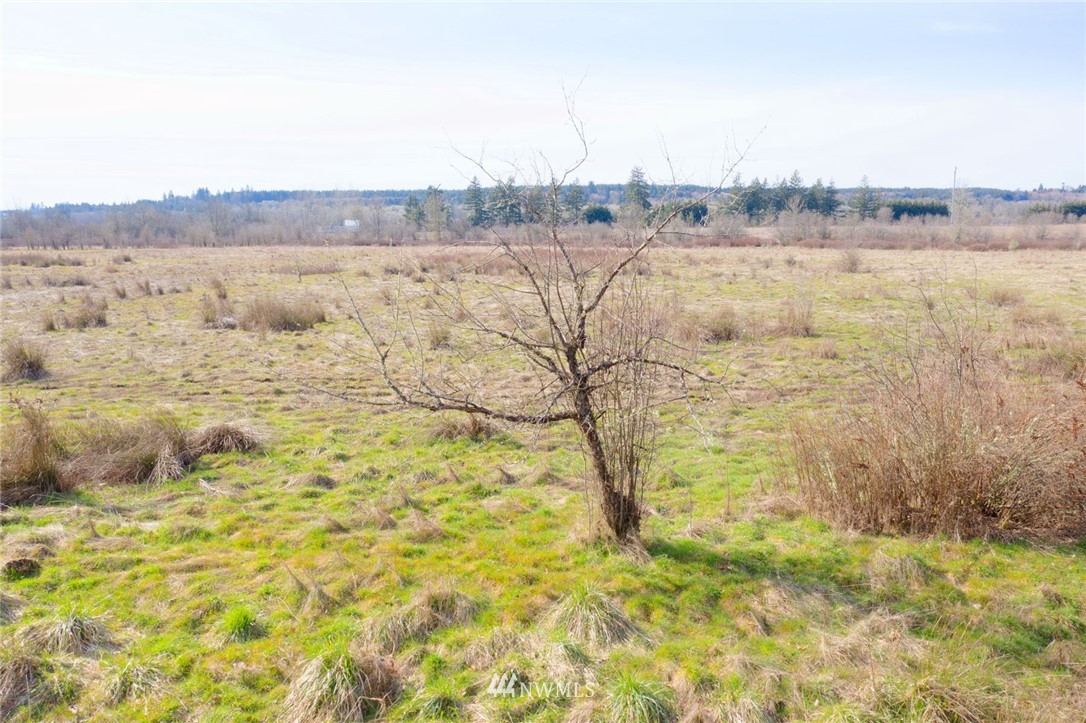 0 Drews Prairie Road Toledo, WA 98591 - Photo 10 of 20