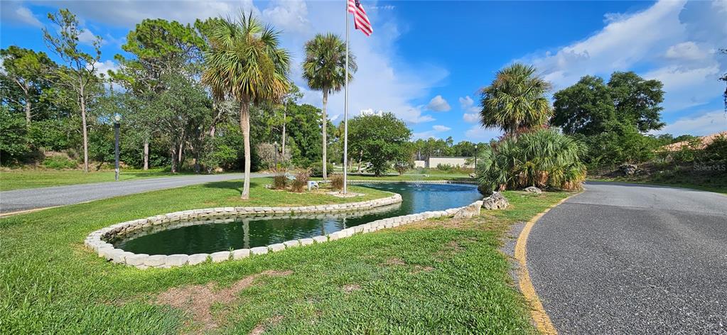 8449 Southwest 106th Place Ocala, FL 34481 - Photo 24 of 26 a view of a swimming pool with a yard