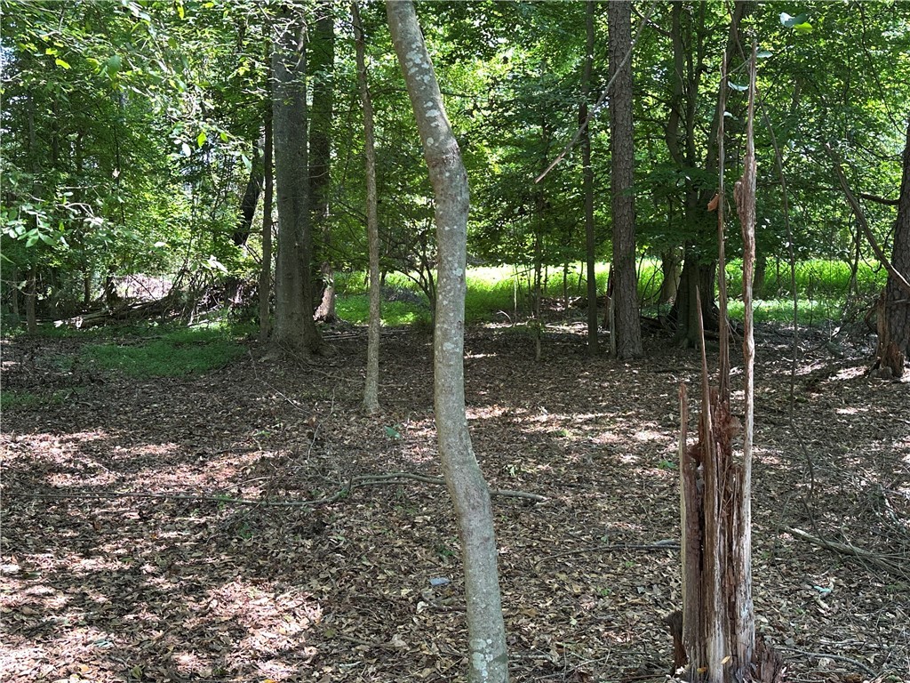 Lot 23 Fisher Jenkins Road Anderson, SC 29625 - Photo 11 of 12