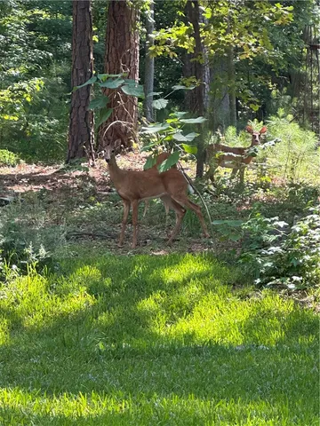 $15,000 | Lot 23 Fisher Jenkins Road, Anderson, SC 29625