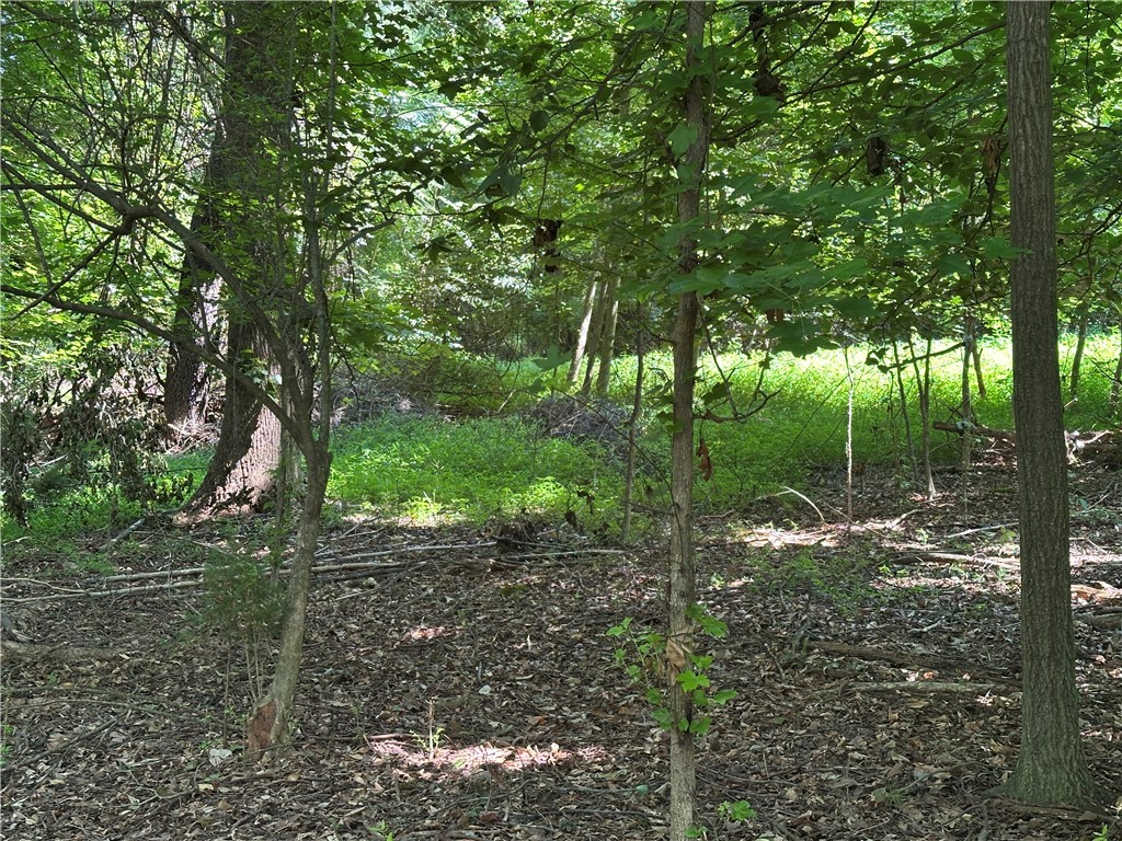 Lot 23 Fisher Jenkins Road Anderson, SC 29625 - Photo 3 of 12