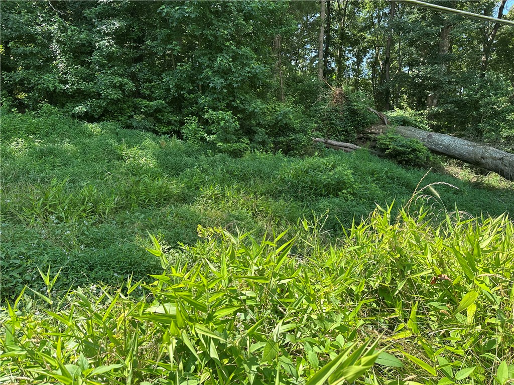 Lot 23 Fisher Jenkins Road Anderson, SC 29625 - Photo 4 of 12 Fisher Rd frontage