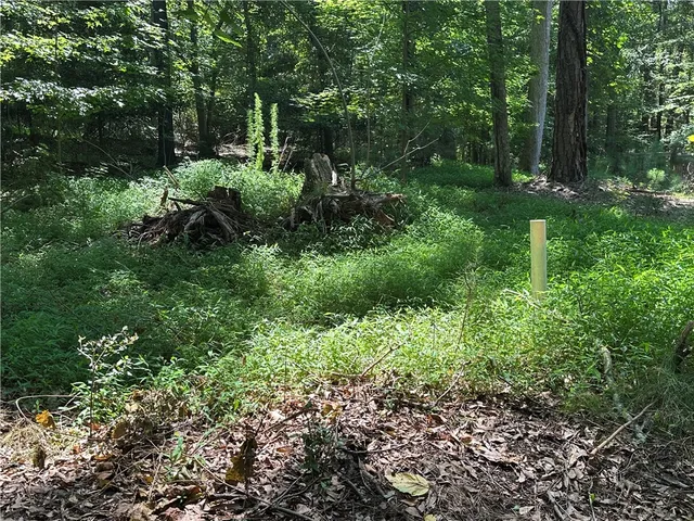 $15,000 | Lot 23 Fisher Jenkins Road, Anderson, SC 29625