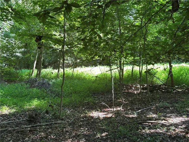 $15,000 | Lot 23 Fisher Jenkins Road, Anderson, SC 29625