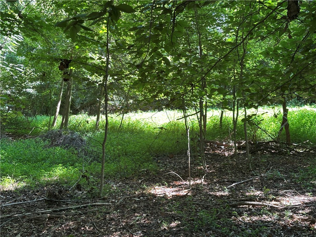 Lot 23 Fisher Jenkins Road Anderson, SC 29625 - Photo 9 of 12