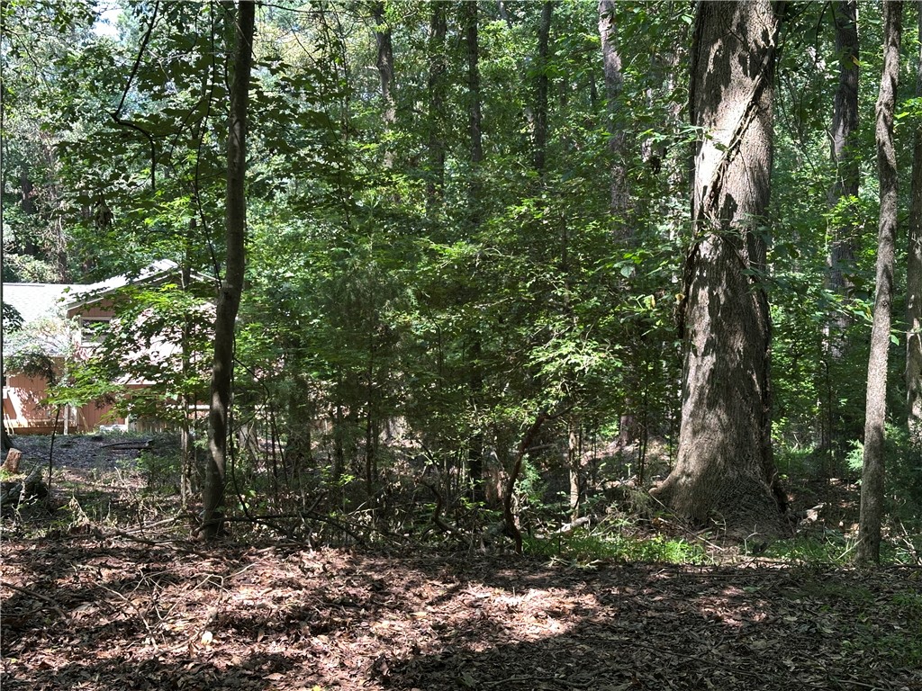 Lot 23 Fisher Jenkins Road Anderson, SC 29625 - Photo 10 of 12