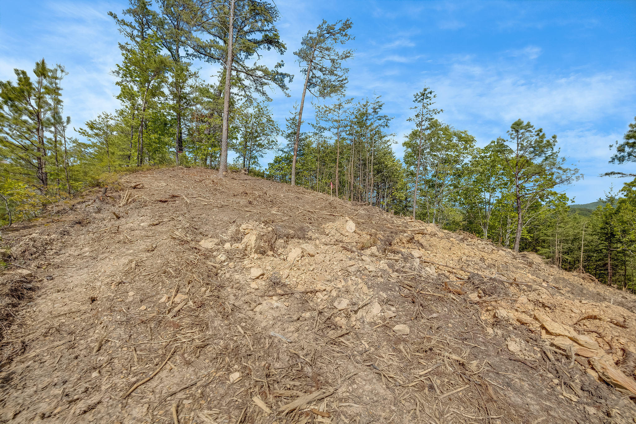 Lot 131 Mountain Ridge Way Sevierville, TN 37862 - Photo 12 of 13 img-1667
