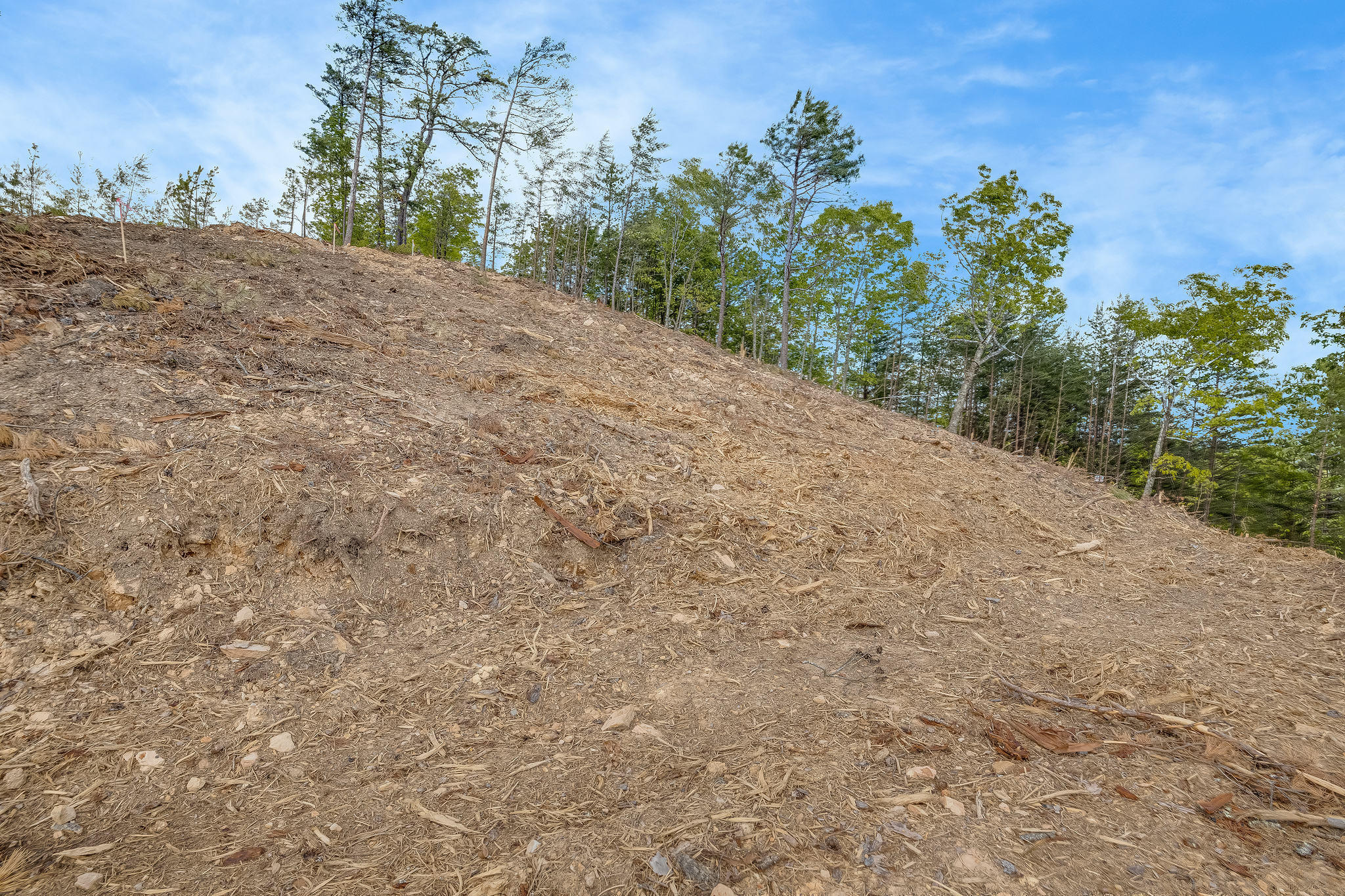 Lot 131 Mountain Ridge Way Sevierville, TN 37862 - Photo 9 of 13 img-1652