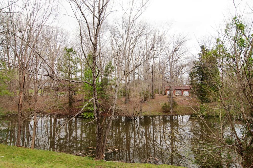 7332 Planters Road, Unit 7332 Fairview, TN 37062 - Photo 10 of 17 Gallery Image 10