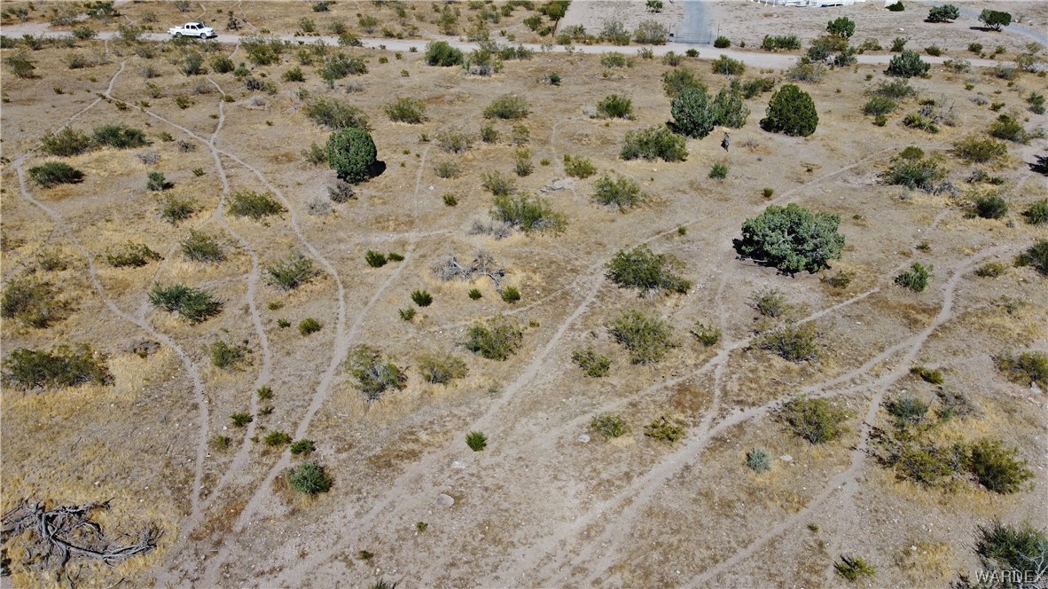 1885 Greer Road Golden Valley, AZ 86413 - Photo 2 of 16 a view of a field with lots of bushes