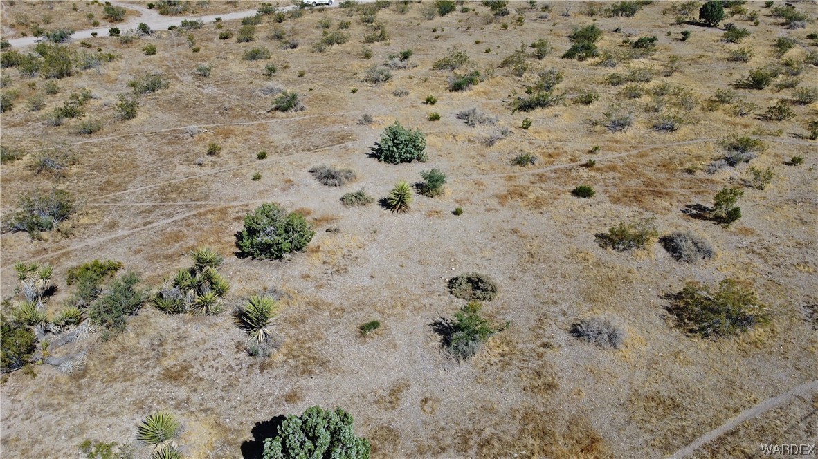 1885 Greer Road Golden Valley, AZ 86413 - Photo 6 of 16 a view of a dry field with trees in the background