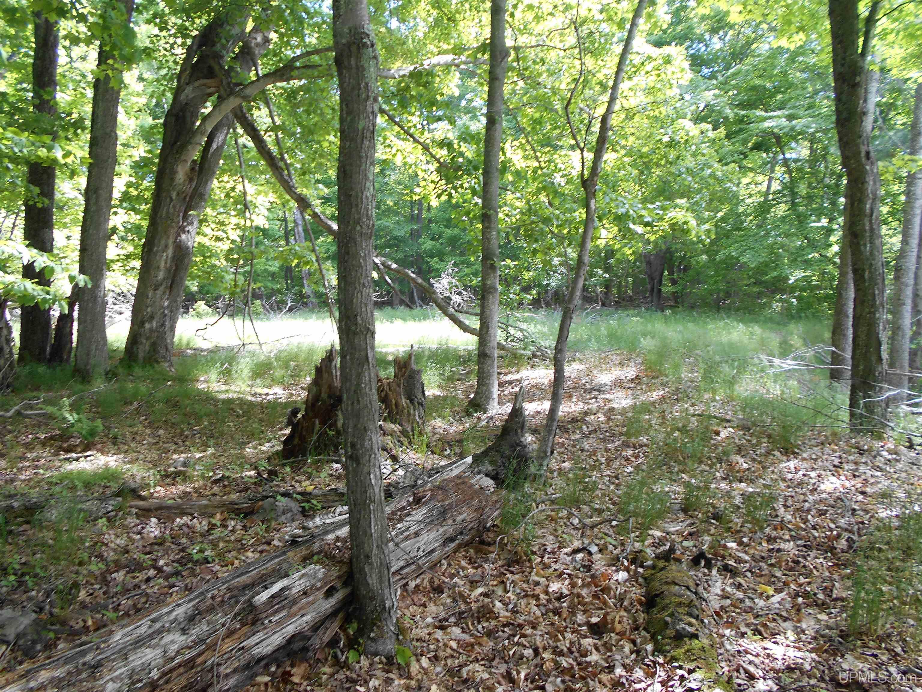 Tbd West Parcel B Little Harbor Road Manistique, MI 49854 - Photo 34 of 43 Gallery Image 34