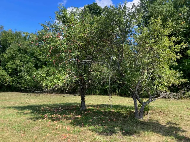 $562,500 | 5 Begnoche Drive, Unit 3, Swanton, VT 05488