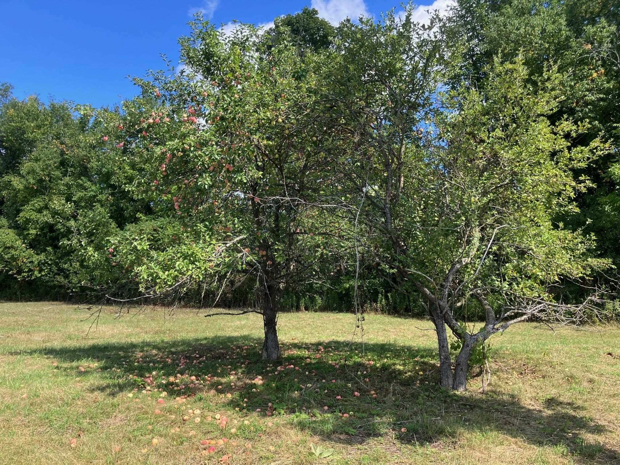 5 Begnoche Drive, Unit 3 Swanton, VT 05488 - Photo 52 of 59