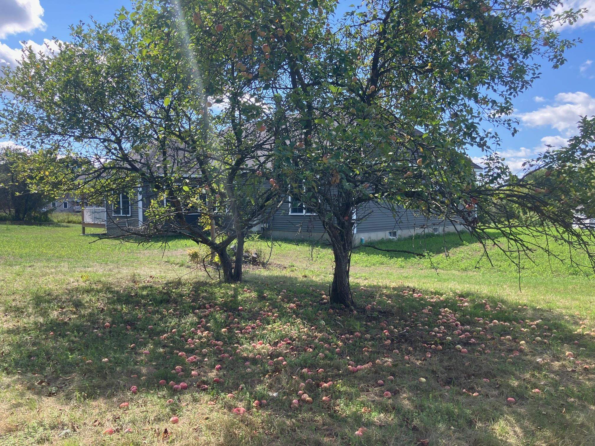 5 Begnoche Drive, Unit 3 Swanton, VT 05488 - Photo 53 of 59