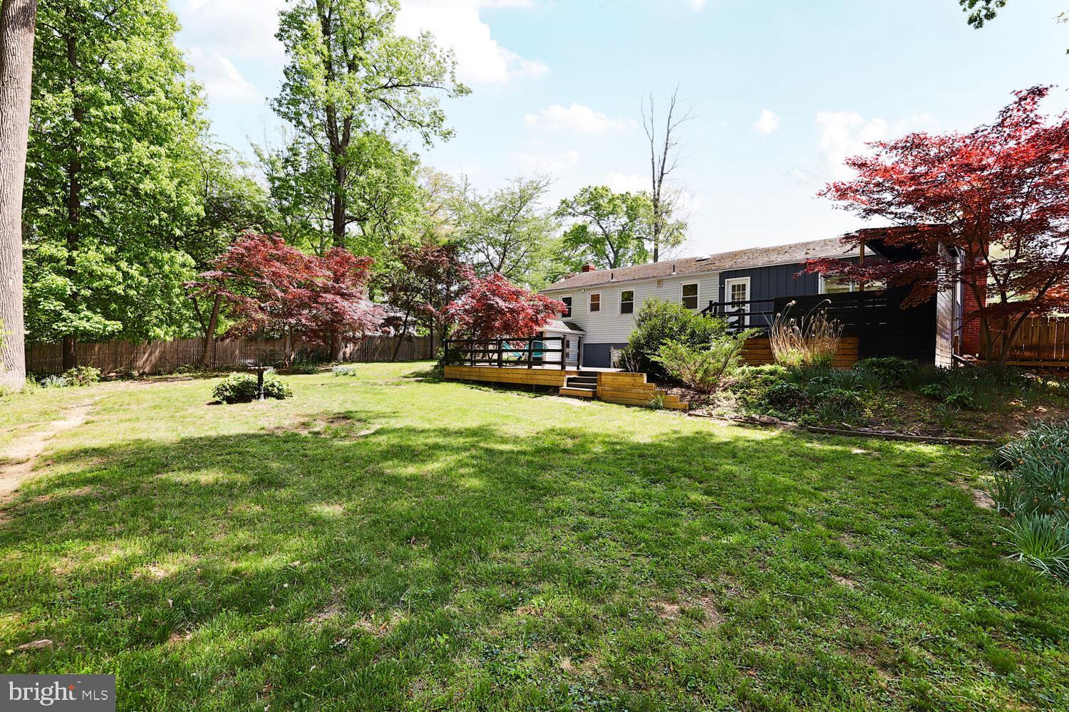 1204 Ednor Road Silver Spring, MD 20905 - Photo 18 of 27 a view of backyard with a garden and plants