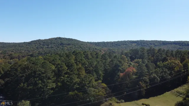 an aerial view of mountain with trees