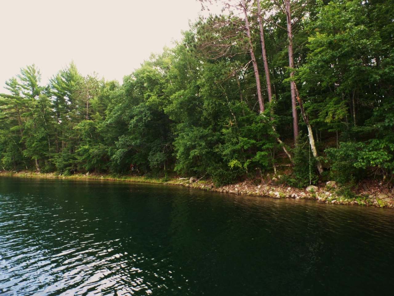 Lot 2 Lake Mildred Road Rhinelander, WI 54501 - Photo 1 of 4 Gallery Image 1