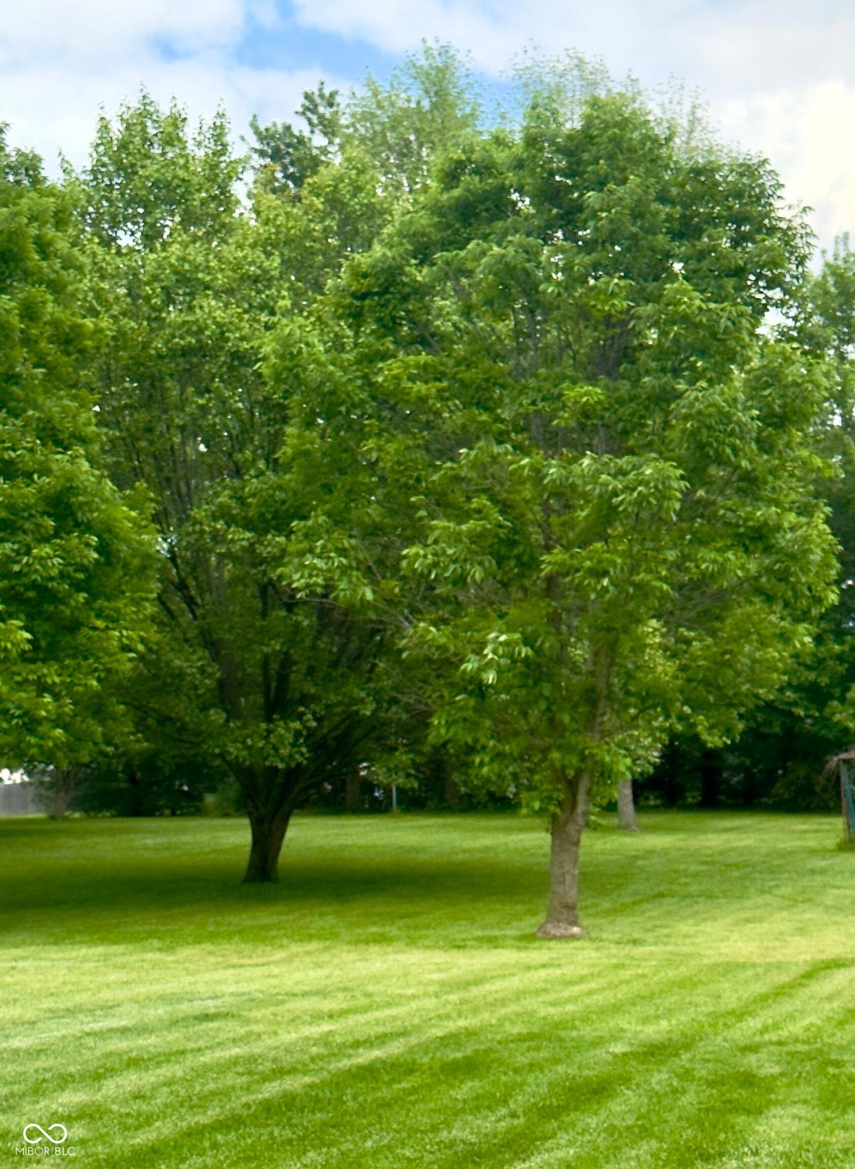 3559 Liberty Meadows Road Plainfield, IN 46168 - Photo 58 of 62