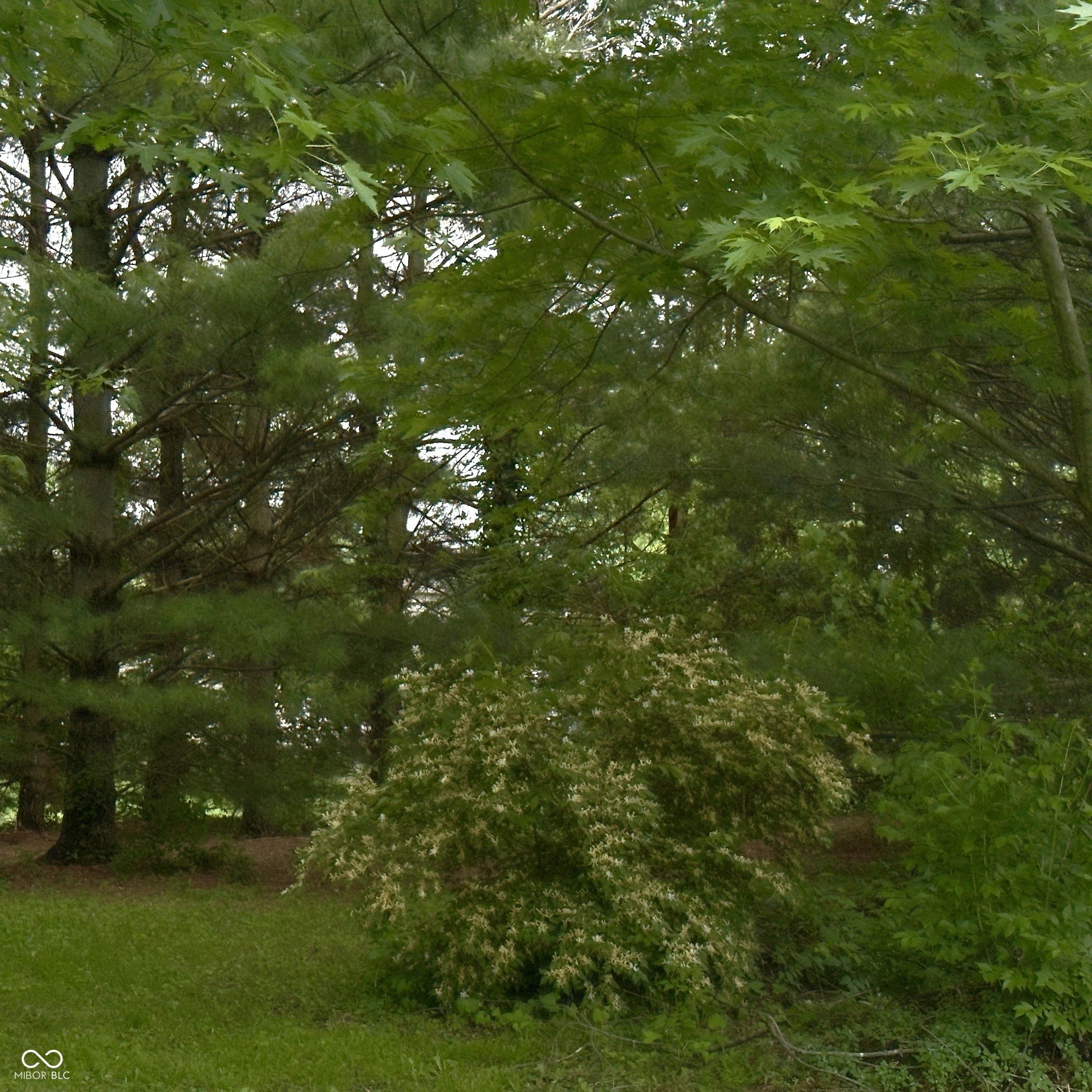 3559 Liberty Meadows Road Plainfield, IN 46168 - Photo 59 of 62