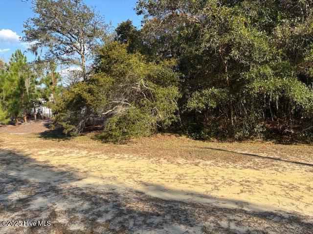 View toward home on corner of Longleaf