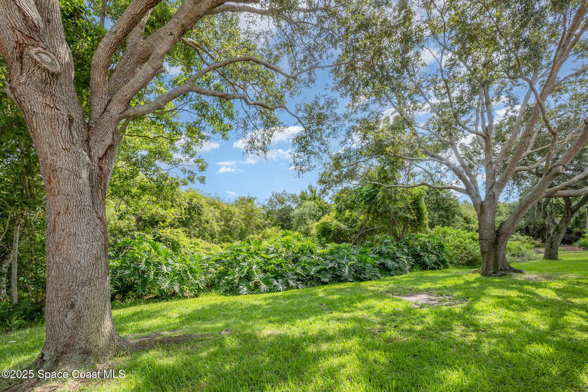 968 Wimbledon Drive Melbourne, FL 32940 - Photo 30 of 47 a view of a trees with a tree in the yard