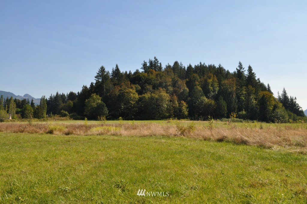 22746 Gunderson Road Mount Vernon, WA 98273 - Photo 3 of 4
