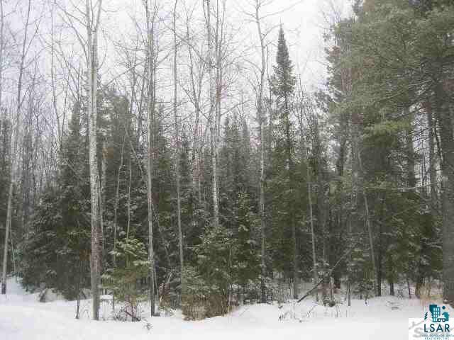 28350 Nolander Road Washburn, WI 54891 - Photo 14 of 18 Gallery Image 14