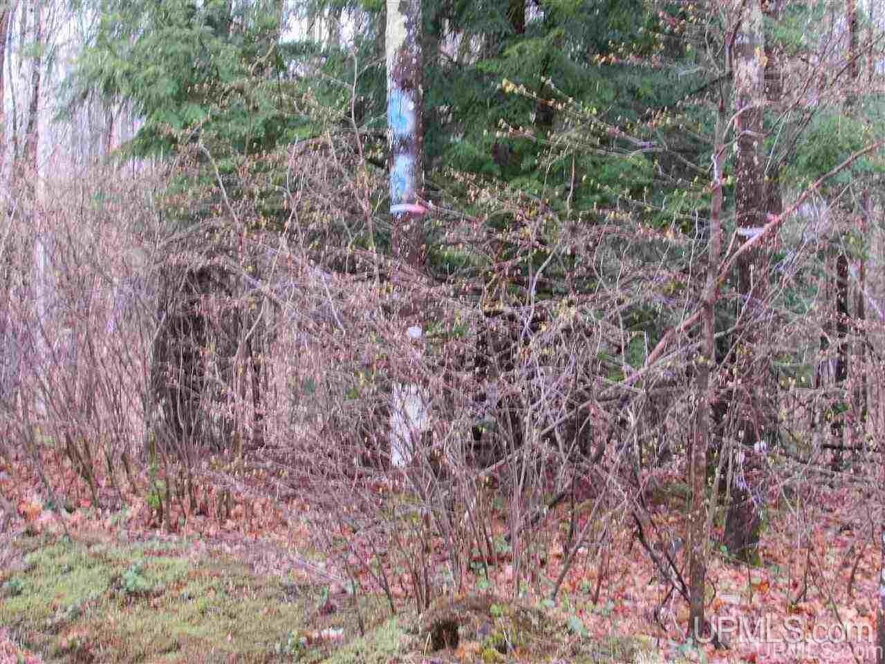 9-acres Usimaki-vuk Road Lanse, MI 49946 - Photo 1 of 6