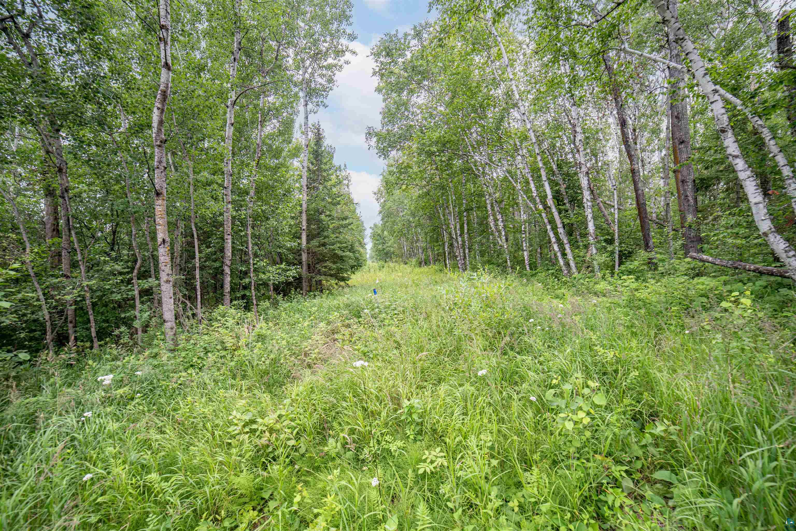 Xxxx Lakewood Road Duluth, MN 55804 - Photo 9 of 10