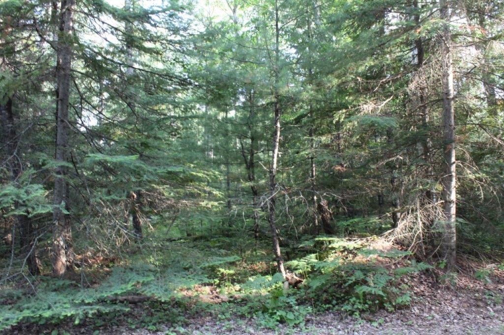 On Burnt Bridge Road, Unit LOT 5 St. Germain, WI 54558 - Photo 9 of 14 Gallery Image 9