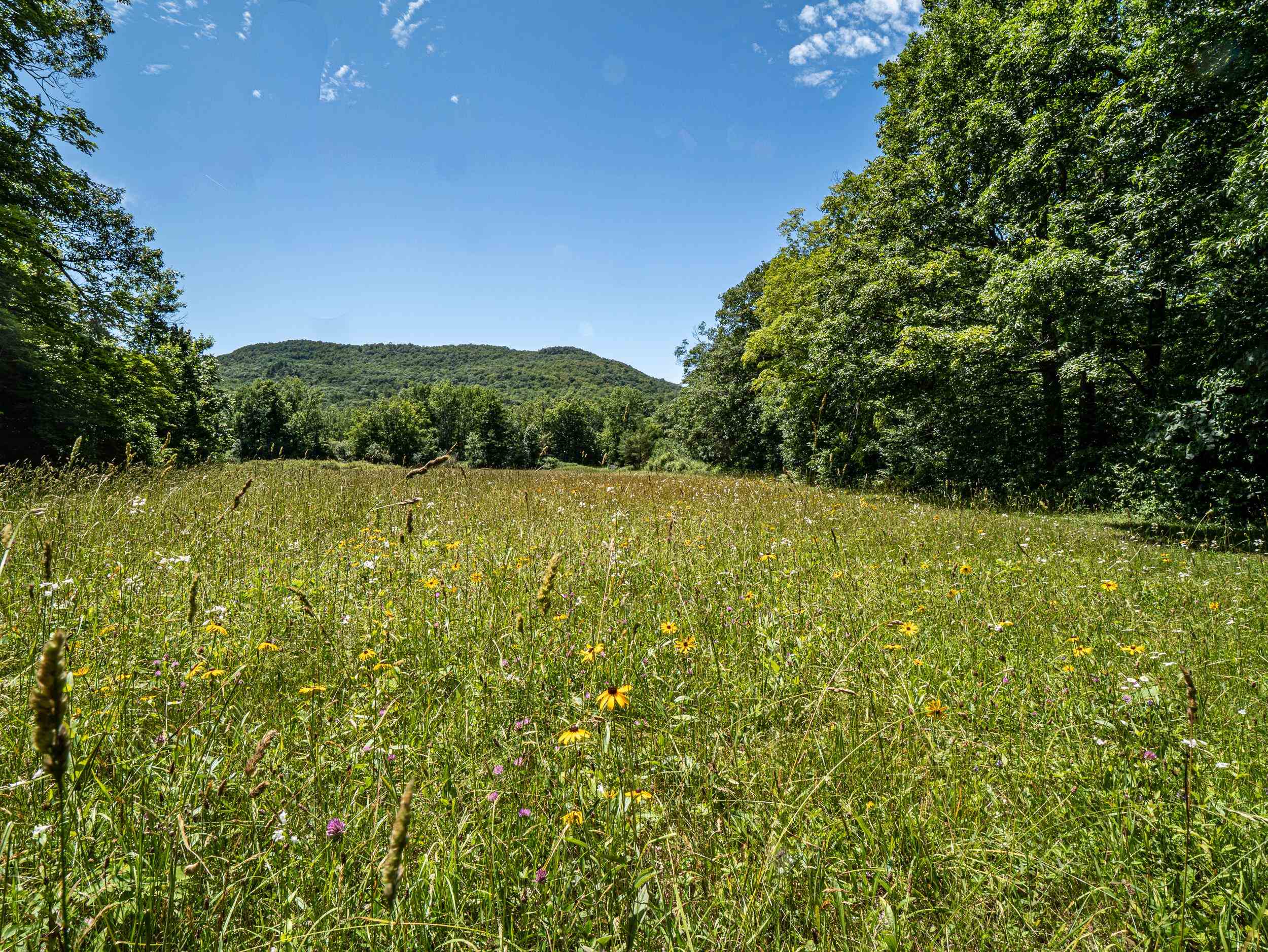 0 Birdseye Road Poultney, VT 05764 - Photo 26 of 29