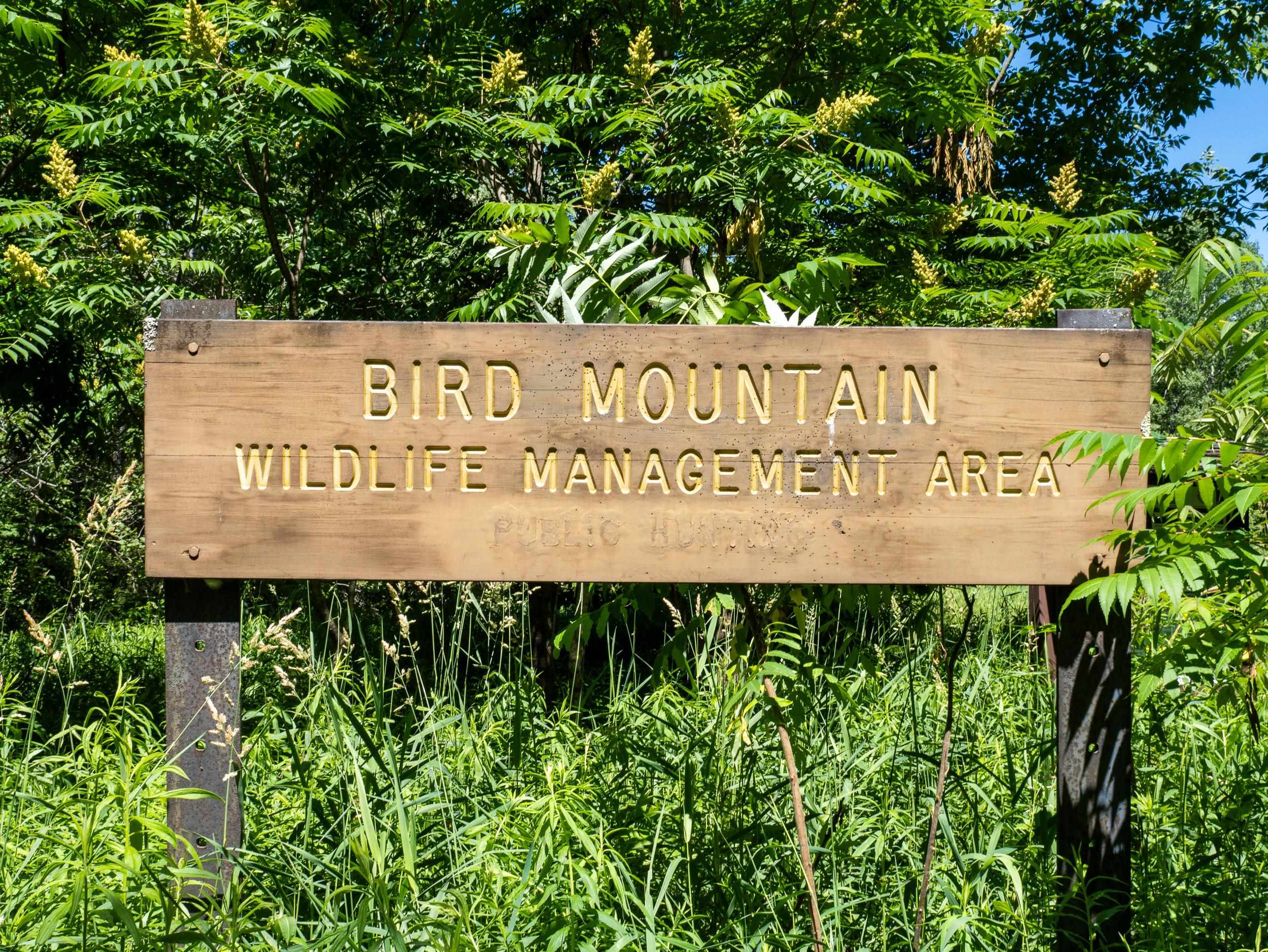 0 Birdseye Road Poultney, VT 05764 - Photo 27 of 29