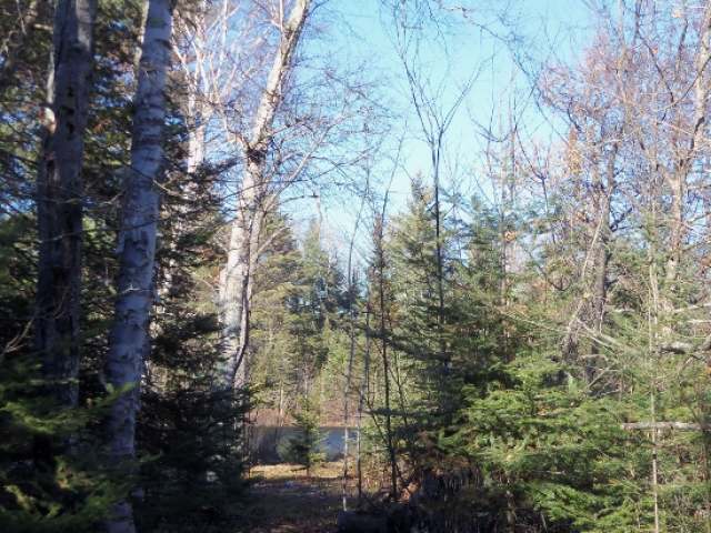 Lot 5 Lake Of The Falls Road Mercer, WI 54547 - Photo 11 of 20 Gallery Image 11