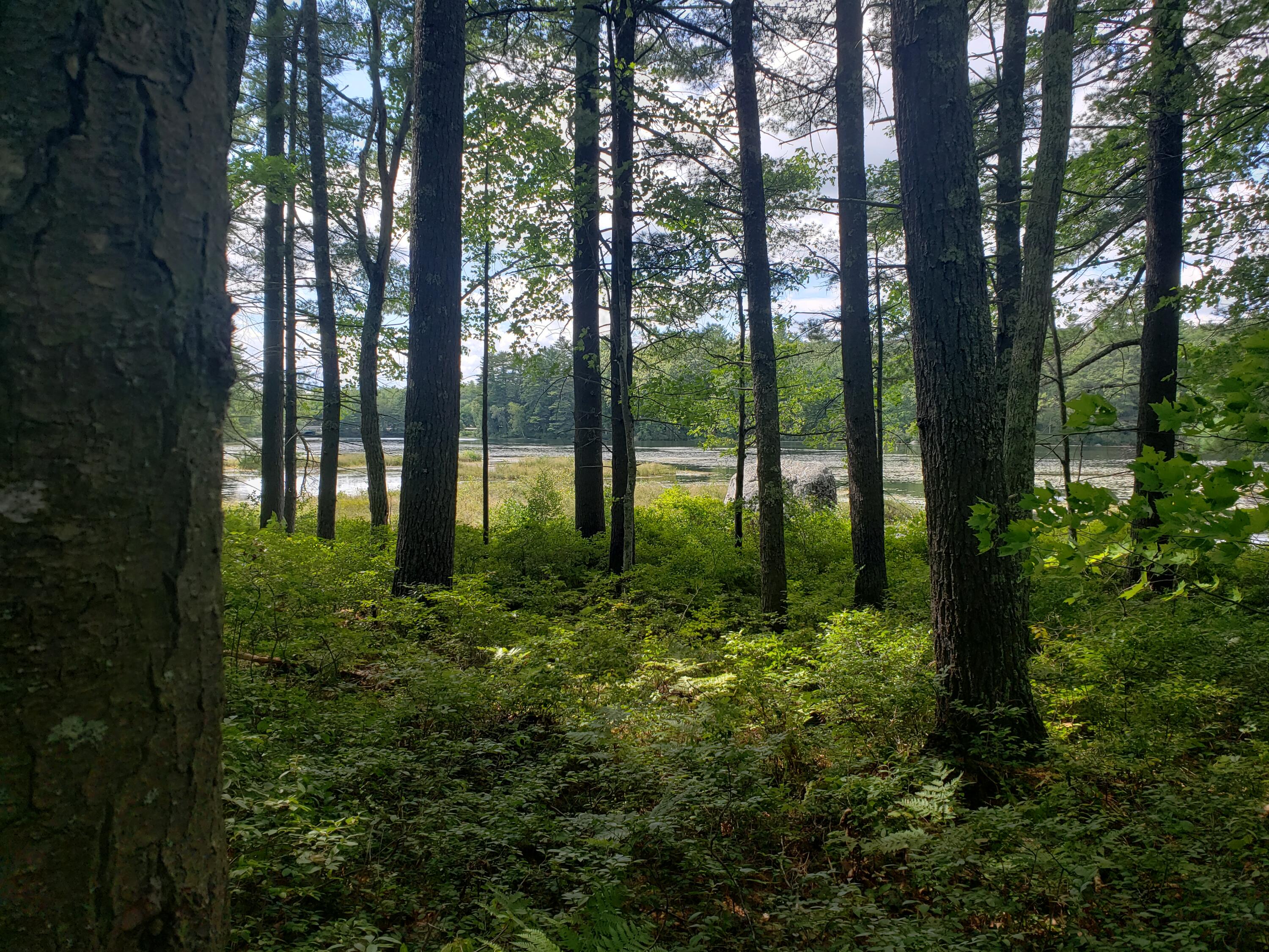 0 Twin Pines Road Raymond, ME 04071 - Photo 4 of 7 20210903_134410