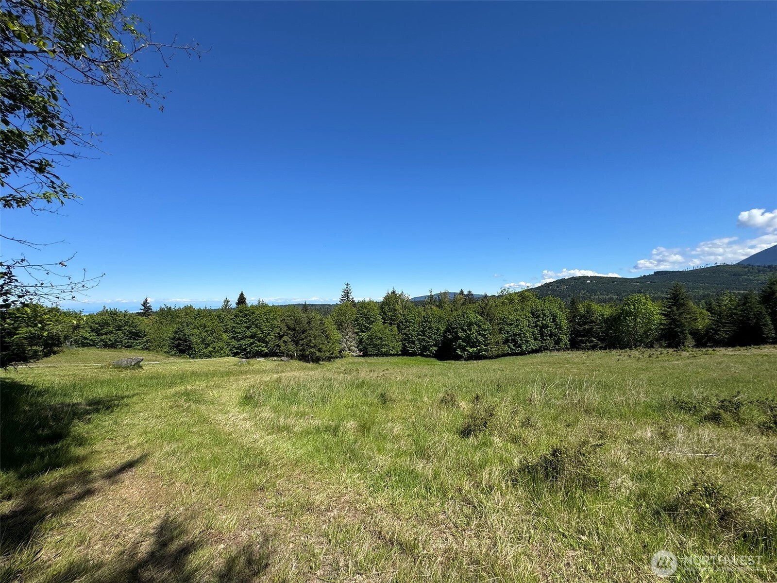 9999 Kruse Road Port Angeles, WA 98362 - Photo 20 of 39