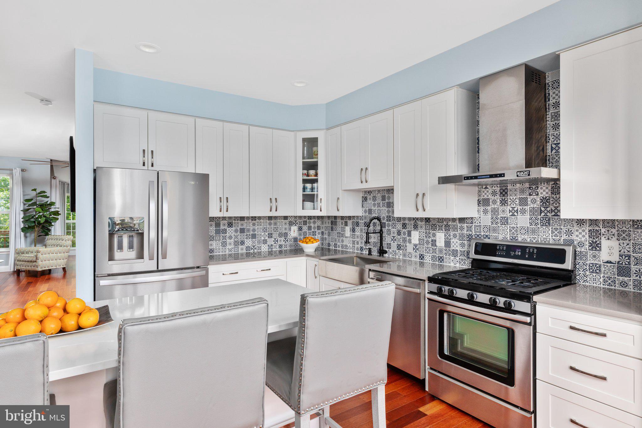 44107 Rising Sun Terrace Ashburn, VA 20147 - Photo 4 of 47 Gallery Image 4