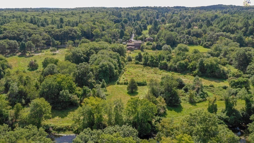 an aerial view of forest